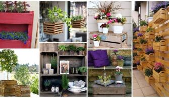 12+ Fantastic Ideas for Decorating Your Garden with Wooden Boxes