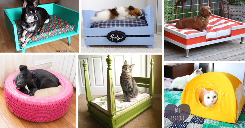 26 DIY-Haustierbett-Ideen, um Ihre Fellbabys zu verwöhnen