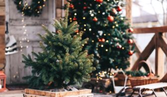 15 DIY outdoor Christmas decorations