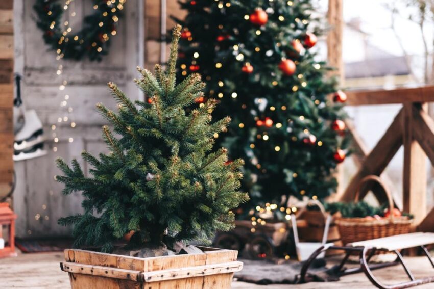 15 DIY Outdoor Christmas Decorations