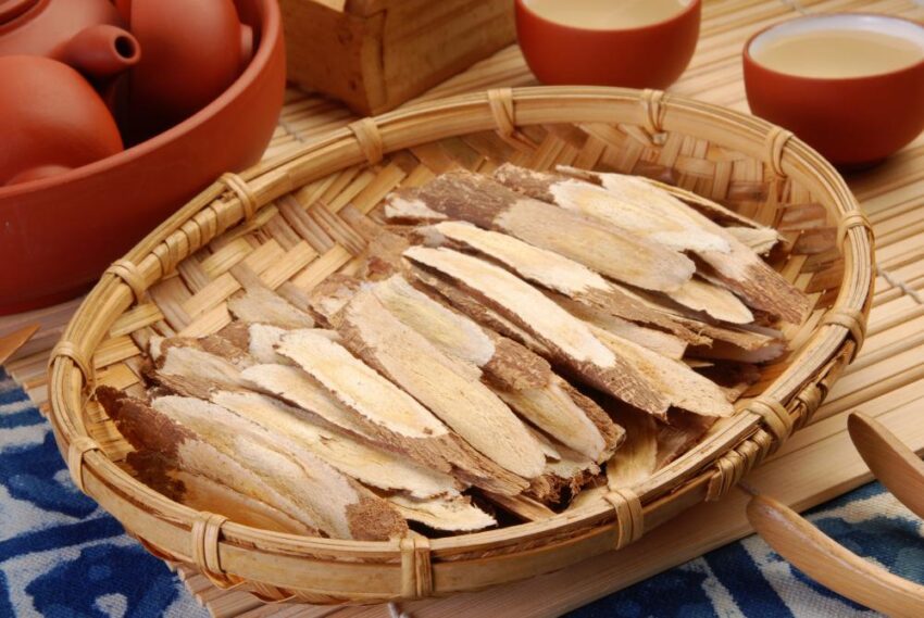 Astragalus Herb – How to Grow and Harvest Astragalus Herb