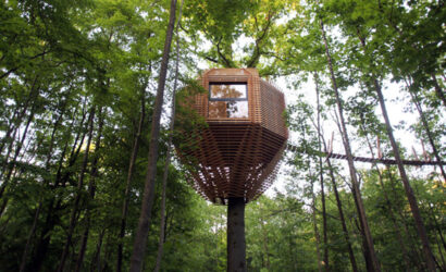 Origin House: A stunning bird's nest-inspired tree house in France