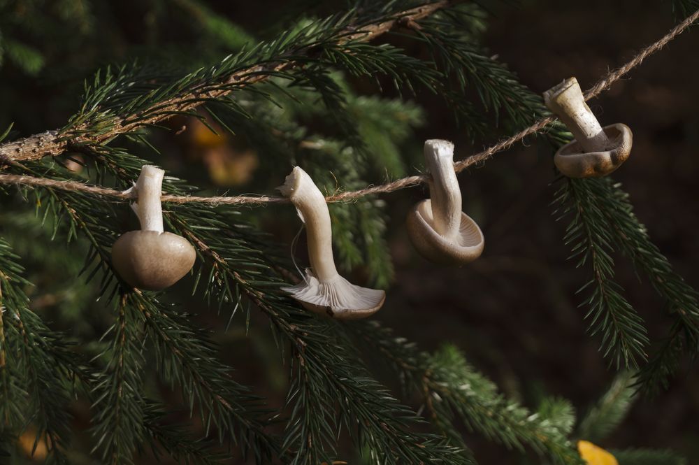Mushroom jute garland cheap outdoor christmas decorations