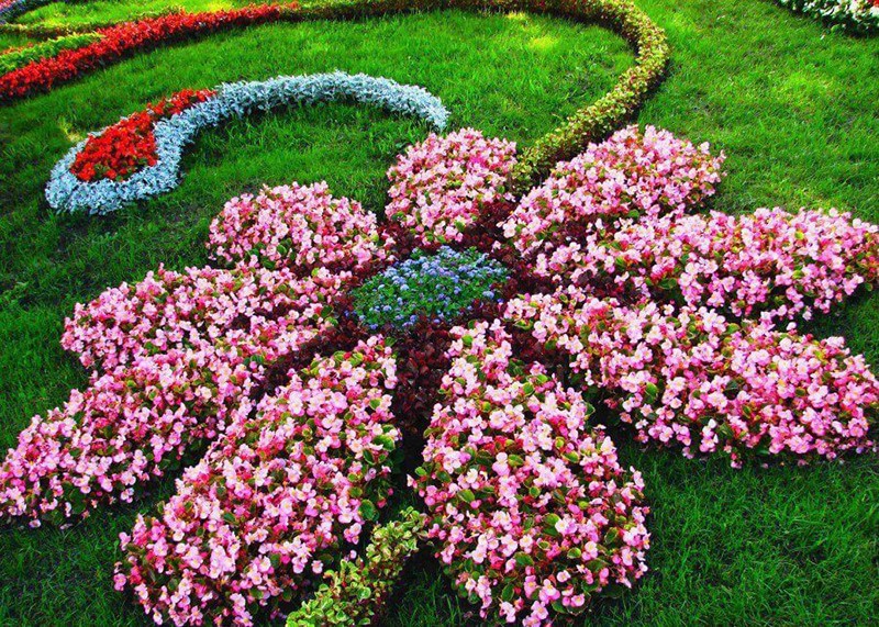 Flower Shaped Floral Garden Layout