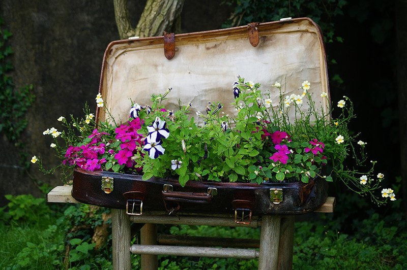 Luggage Flower Bed