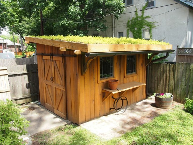 Green Roof Garden Shed