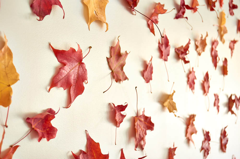 Maple leaves thanksgiving wall decor