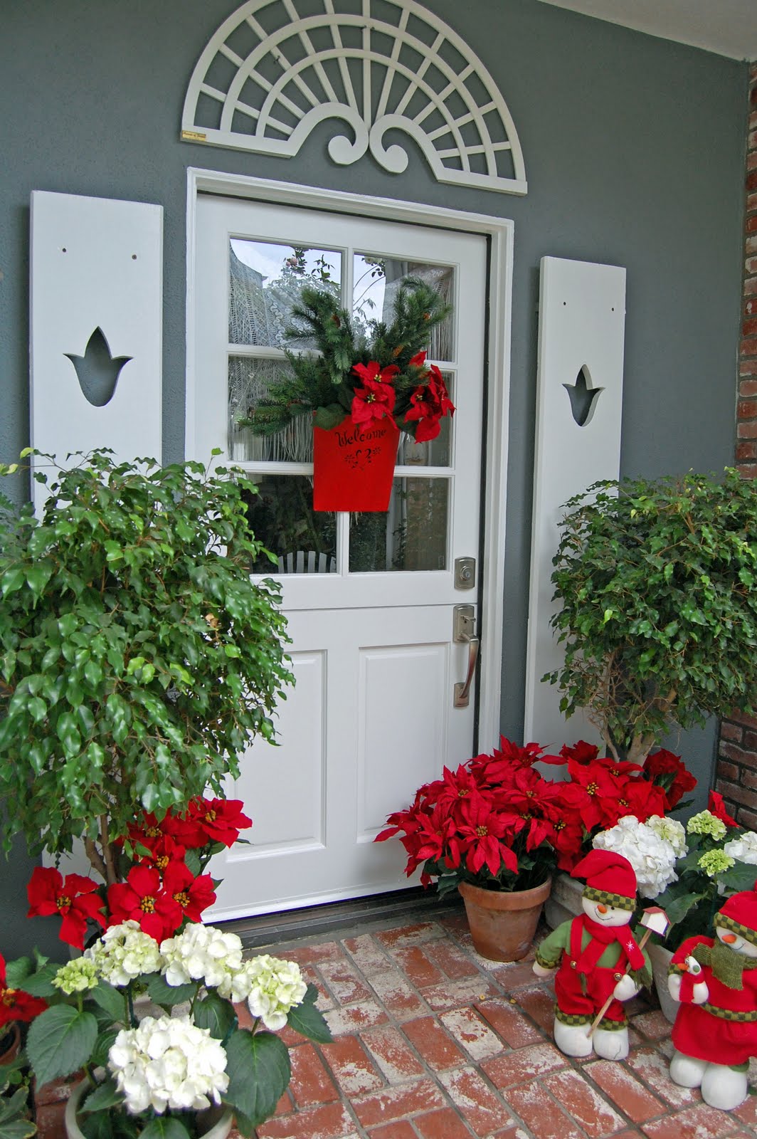 Find Perfection With Poinsettias