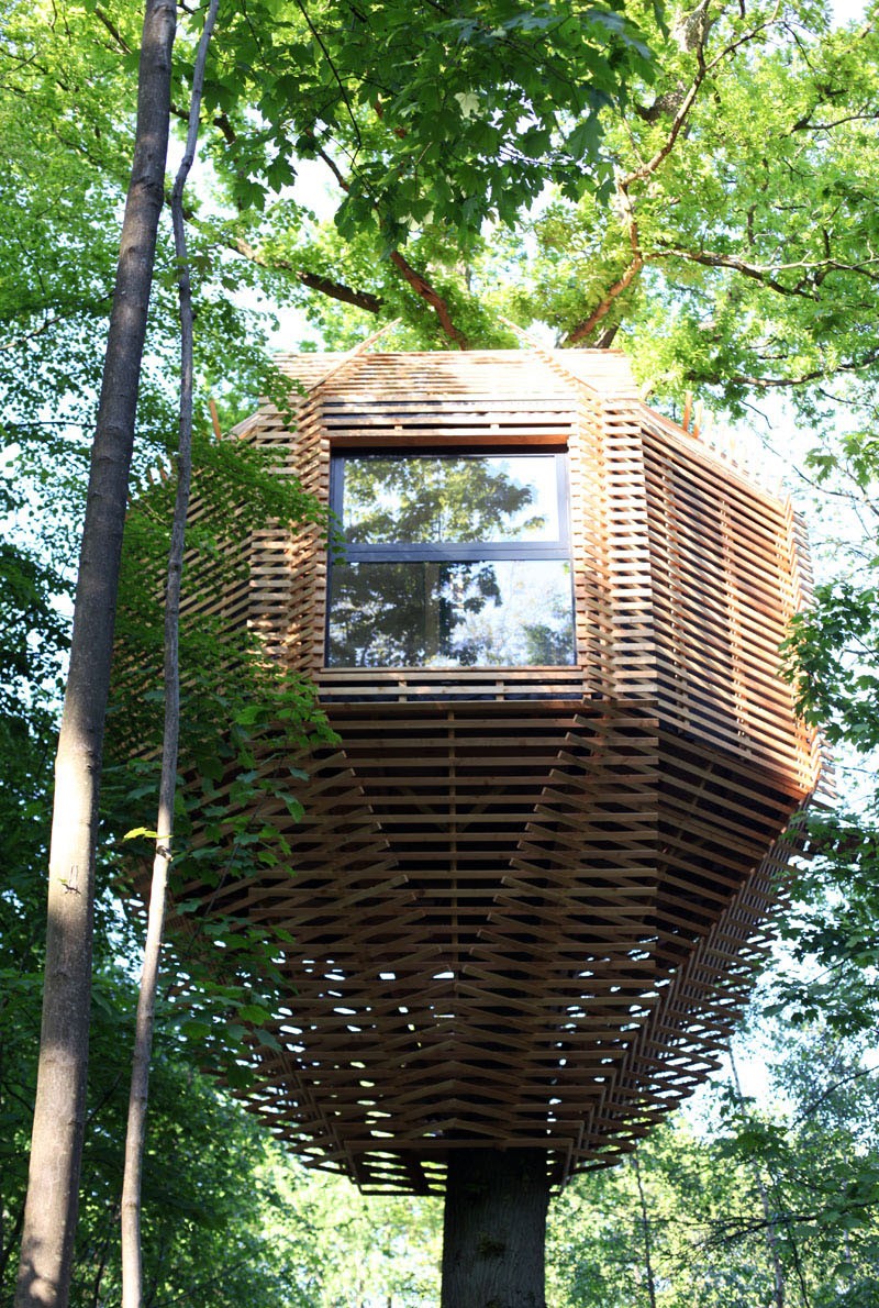 origin house a stunning birds nest inspired tree house in france 6193ed80661dc