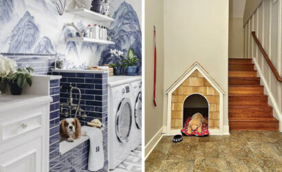 20 adorable dog friendly home decor ideas
