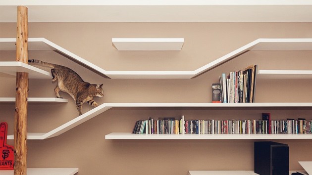 20 creative indoor cat playground ideas
